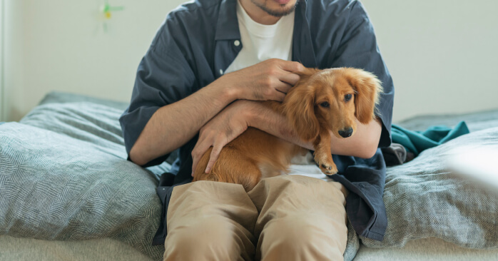 犬に関するご相談